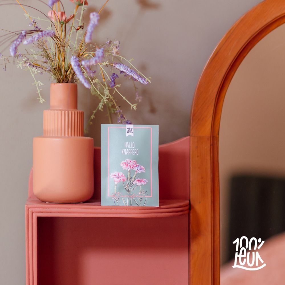 Bloemenzaadjes 'Hallo. Knapperd', Duizendschoon – 100% Leuk - Afbeelding 2